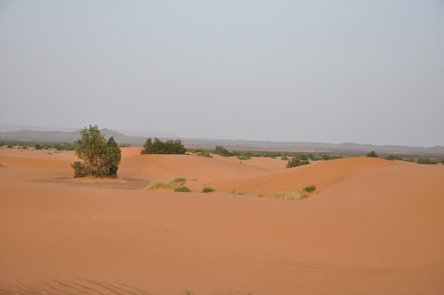 maroc3 098 maroc3 098