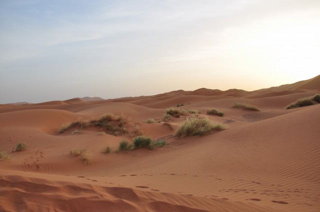 maroc3 101 maroc3 101