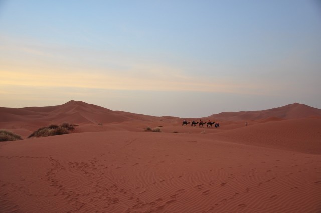 maroc3 102 maroc3 102