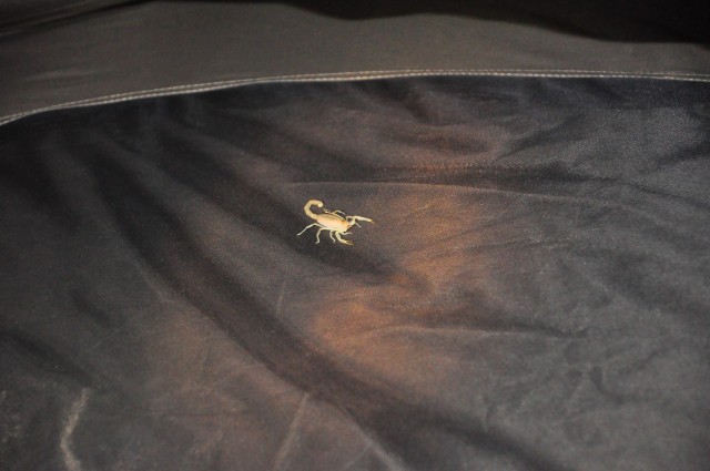 maroc3 110 maroc3 110