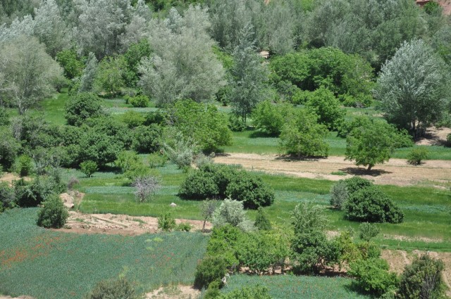 maroc4 237 maroc4 237