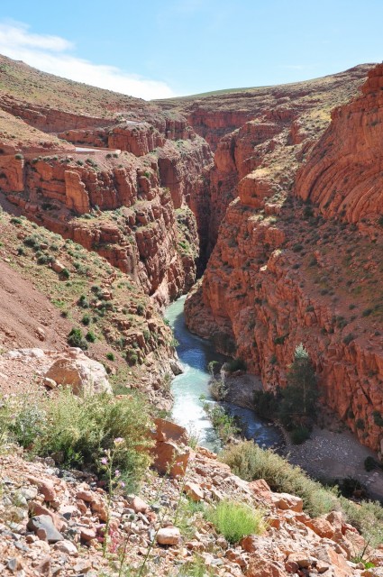 maroc4 259 maroc4 259