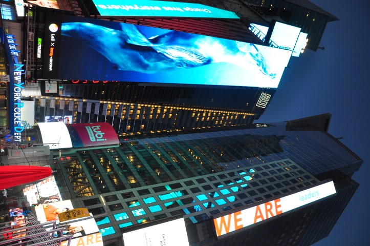 New York J1 (113) New York J1 (113)