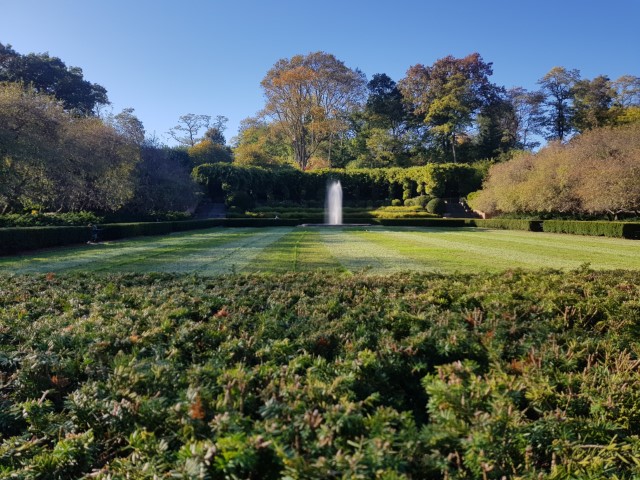 New York J1 (164) New York J1 (164)