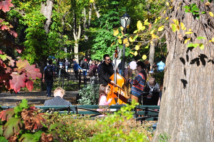 New York J1 (165) New York J1 (165)