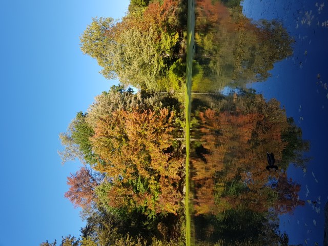 New York J1 (171) New York J1 (171)