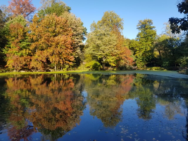 New York J1 (172) New York J1 (172)