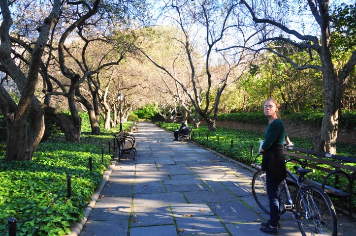 New York J1 (176) New York J1 (176)