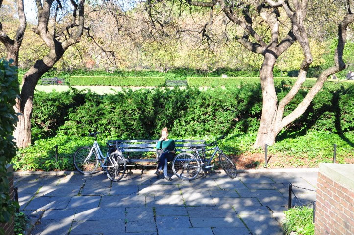 New York J1 (179) New York J1 (179)