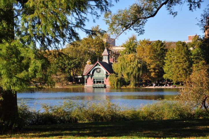 New York J1 (182) New York J1 (182)