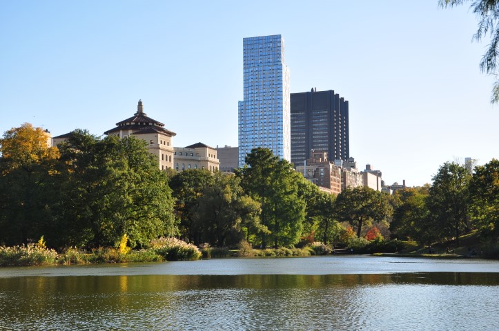 New York J1 (183) New York J1 (183)