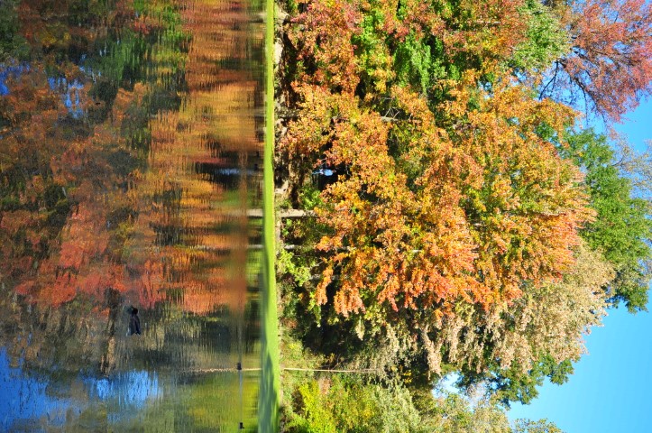 New York J1 (185) New York J1 (185)