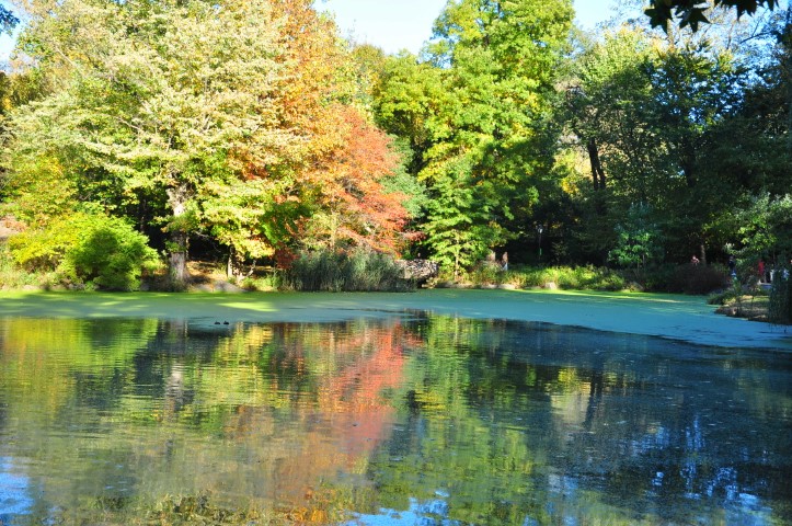 New York J1 (187) New York J1 (187)