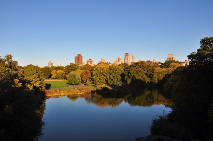 New York J1 (191) New York J1 (191)