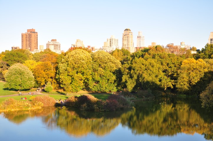 New York J1 (193) New York J1 (193)