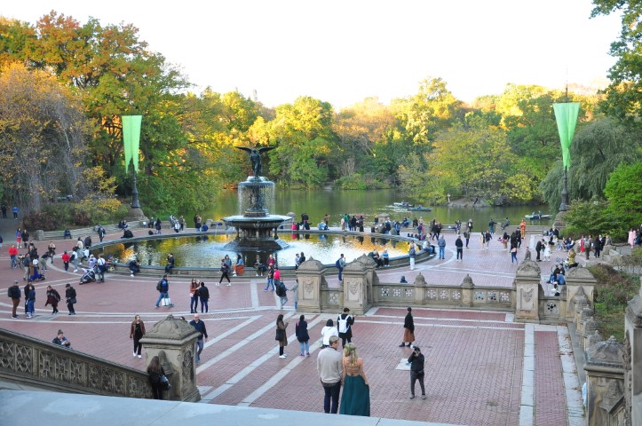 New York J1 (202) New York J1 (202)