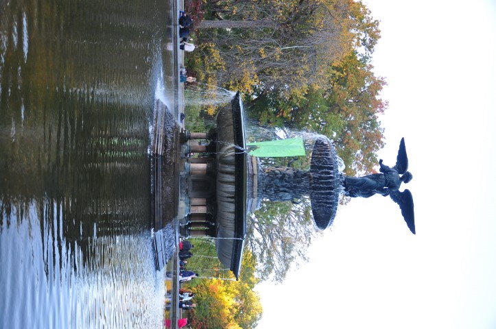 New York J1 (203) New York J1 (203)