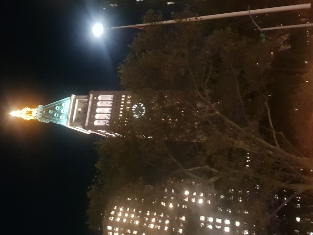 New York J1 (211) New York J1 (211)