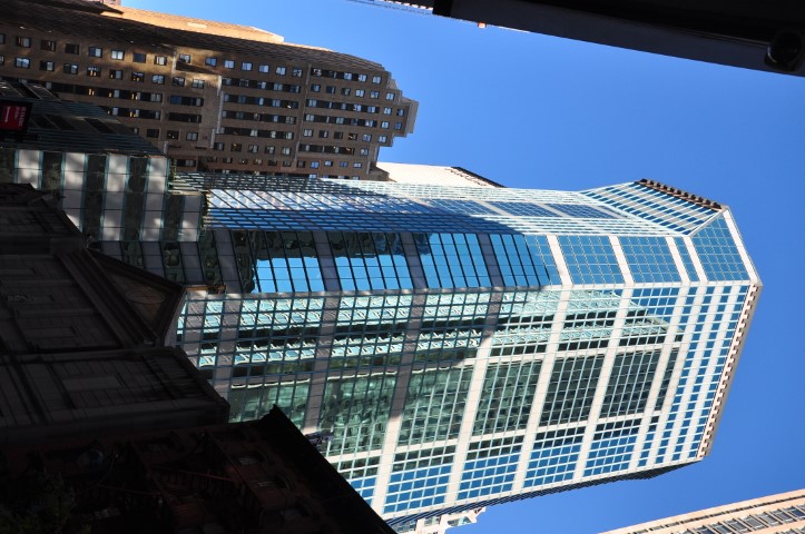 New York J1 (81) New York J1 (81)